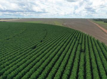 3585_imovelintegrado_imovelweb_1.jpg · Fazenda Centro Unai Mg