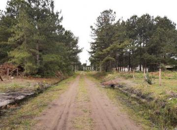 Terreno · Terreno À Venda No Bairro Centro - Arroio Do Sal/rs