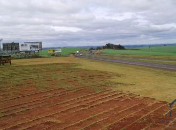 Foto 02 · Terreno 92 Mil m², Entre a Cidade de Rolândia E Arapongas, Rodovia 986 Km 8 Contorno Sul de Rolândia