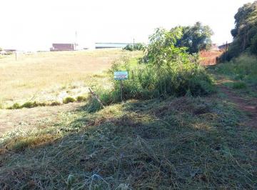 2024/09/824abce9f4df1e517bcc3ba673e4d993.jpg · Terreno - Bairro Jardim Maria Da Luz