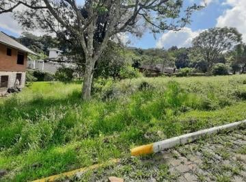 Terreno · 446m² · Terreno Em Garibaldi/rs - Bairro Cairú