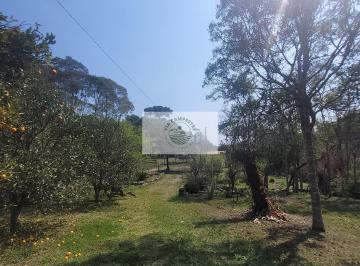 Rural · 5785m² · 1 Quarto · Sítio Com 5.785 m², Documentado, Região de Avenquinha, Com Lago, Araucárias