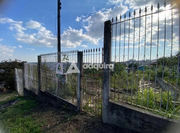 whatsapp-image-2024-08-05-at-09-30-18-11722865251360.jpeg · Imoveis - Em Nova Rússia