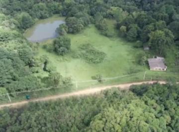 Foto 04 · Chácara Oportunidade de Ouro, Bem Localizada Na Estrada Cabeça d'Anta, Bocaiúva Do Sul Com 09 (Nove)