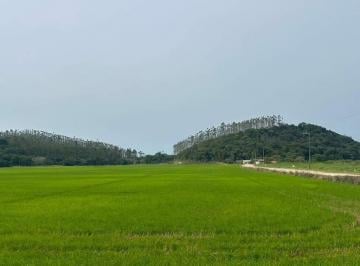 Terreno · 297000m² · Terreno À Venda Em Jaraguá Do Sul, 297.000,00 m² Àrea Total - Poço Grande