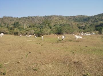 3621_imovelintegrado_imovelweb_1.jpg · Fazenda Boa Esperanca Rio Bonito Rj