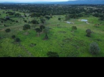 3620_imovelintegrado_imovelweb_1.jpg · Fazenda Centro Casimiro de Abreu Rj