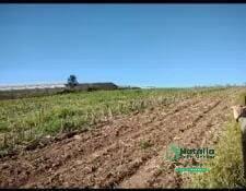 20241022T1604450300-671914647.jpg · Área 24.000 m² - R$998 Mil - Atibaia/sp - Ref 111