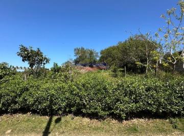 DAU_41_2024-10-23_16-19-18.jpg · Terreno - Área Para Venda Ibiraquera Imbituba