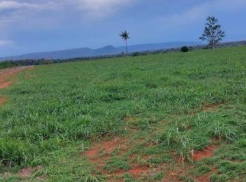 Rural · 20500000m² · Fazenda a Venda Na Região de Cáceres - Mt!