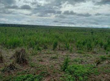 c42bec6434a3828df60887ea25e70132.jpg · Fazenda (8.880 Hectares). Alto Potencial Para Agropecuária E Lavoura