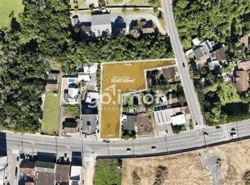 7337335-60254.jpg · Terreno À Venda - Em Ribeirão Das Pedras