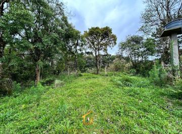 Rural · 59700m² · Área Rural Campo Alto, Tijucas Do Sul