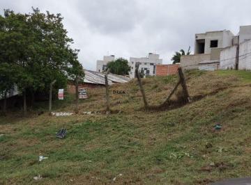 31215527_g.jpg · Imoveis - Em Tingui