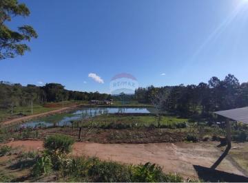 Rural · 70000m² · Sítio 100% Plano Em Benedito Novo