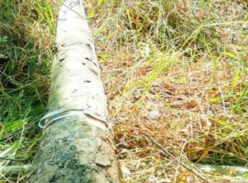 Foto 01 · Fazenda Com Eucalipto a Venda No Estado de São Paulo? Área Total: 106,4 Alqueires Ou 257,55 Hect