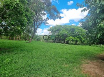 Rural · 78ha · Bela Fazendinha de 78 Ha Bem Preparada Em Ótimo Local