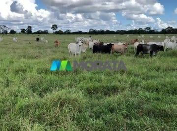 6822_ibSEy2o8i2A_68226564a672b618a.jpg · Imoveis - Zona Rural