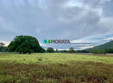6339_idFj3_63396439891377da0.jpg · Imoveis - Na Zona Rural