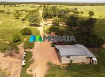 7232_i816Y66Db7996mpN_7232667ad9e3c8fc2.jpg · Imoveis - Zona Rural