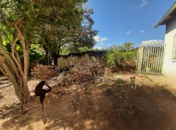 92068_30-1_104320.jpg · Excelente Lote No Ch�caras Cotia