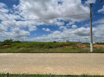 2024/12/c2dfbe51f92ac8f8e756305fc4c7b466.jpg · Terreno - Real Garden