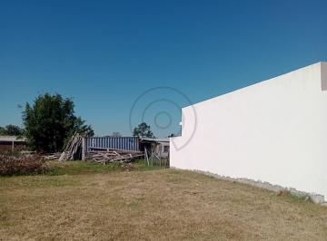 17517_iyDv1tquc95h73_175176626cbc8ef6fe.jpg · Imoveis - Em Bolaxa