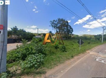 Terreno · 8000m² · Terreno À Venda No Bairro Centro - Mucugê/ba