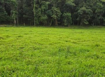 Terreno , São João da Mata · Terreno Em Promoção.