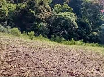 Rural , São João da Mata · Sítio Das Paineiras