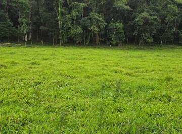 Terreno , São João da Mata · Terreno Casa Mineira P2
