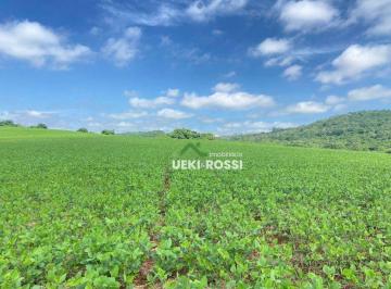 519139761a6ff55573bfbb0c9aae07ac.jpg · Sítio Com 7 Alqueires Em Plantio 100% Mecanizado Em Lerroville Londrina - Pr