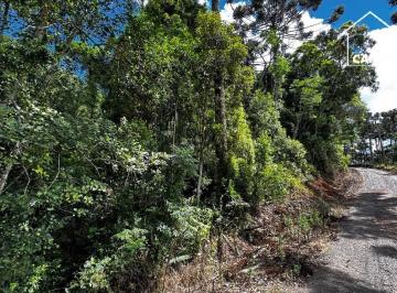 Foto 01 · Terreno, Lageado, Campo Alegre, Sc