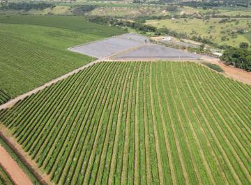 Foto 01 · Excelente Fazenda Cafeeira Em Cruzeiro Da Fortaleza - Mg