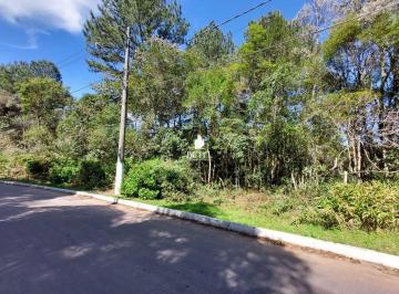 Terreno · 2440m² · Terreno À Venda No Bairro Centro - São Francisco de Paula/rs