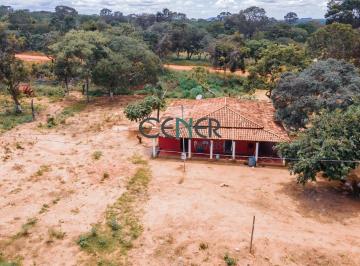 Rural · 6000000m² · Fazenda de 6 200 Ha Toda Plana Ótima Para Reflorestamento E Pecuária