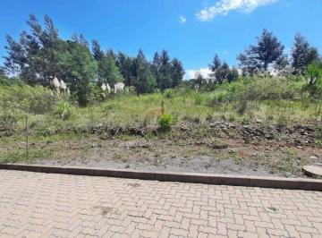 Terreno · 390m² · Terreno Em Garibaldi/rs - Bairro Alfândega