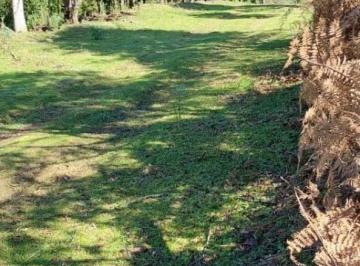 Rural · Excelente Chácara Com 26,6 Mil m Quadrados Em Belavista/são Virgílio Em Caxias Do Sul
