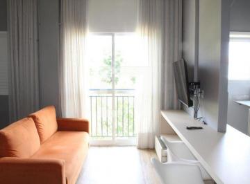 Apartamento · 39m² · 1 Quarto · 1 Vaga · Imoveis - Na Granja Viana