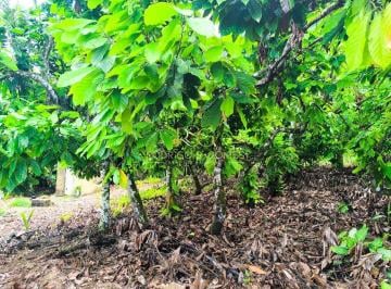 Rural · 174ha · Fazenda Em Una Bahia
