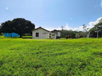 Rural · 1003ha · Fazenda Mista Sul Da Bahia