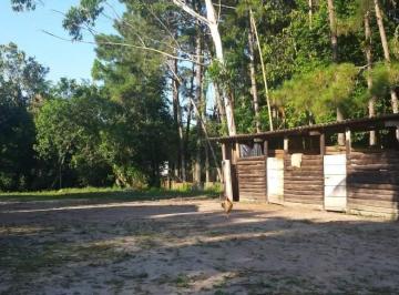 Rural · 11000m² · 2 Quartos · Chácara Em Balneário Caraguava, Peruíbe/sp de 0 m² 2 Quartos À Venda por R$400.000