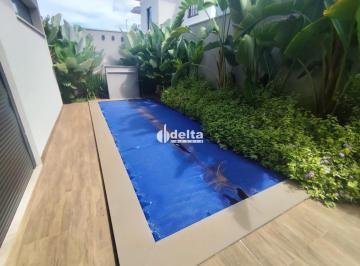 Casa · 253m² · 5 Quartos · 4 Vagas · Casa Com 5 Quartos Sendosuítes Disponível Para Locação E Venda No Bairro Nova Uberlândia Em Uberlân