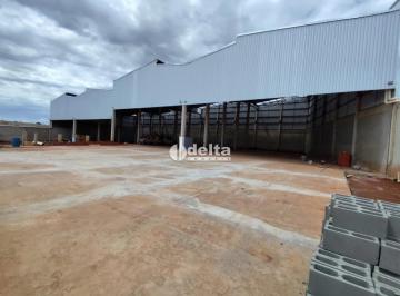 Comercial · 3700m² · Galpão Disponível Para Locação No Bairro Distrito Industrial Em Uberlândia - Mg