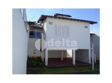 NULL · Casa Com 4 Quartos Sendo 2 Suítes Disponível Para Venda No Bairro Centro Em Uberlândia - Mg