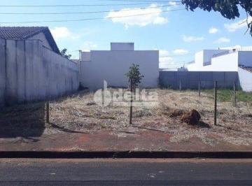 Terreno · 250m² · Terreno Disponível Para Venda No Bairro Alto Umuarama Em Uberlândia - Mg