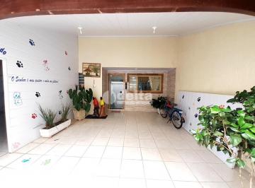 NULL · Casa Residencial Com 3 Quartos Sendo 1 Suíte Disponível Para Venda No Bairro Jardim Das Palmeiras Em