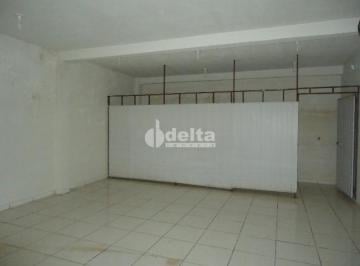 NULL · Casa Residencial E Comercial À Venda Disponível No Bairro Pampulha Em Uberlândia - Mg
