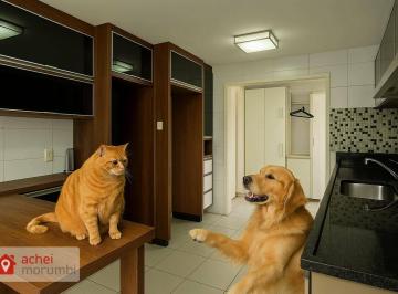 361d4ca74da41a4dca0c62d0be50e23b.jpg · Apartamento Com 4 Dormitórios Para Alugar, 141 m² por R$10.459,91/mês - Morumbi - São Paulo/sp