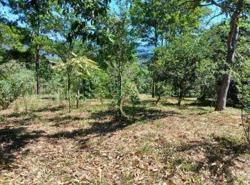d14723c78028d55b1dbf1e88c87b4cbe.jpg · Terreno Para Venda - Tinguá - Nova Iguaçu